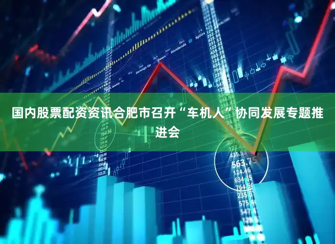 国内股票配资资讯合肥市召开“车机人”协同发展专题推进会