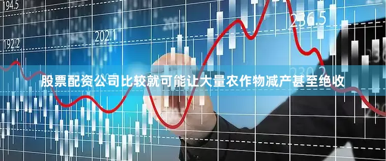 股票配资公司比较就可能让大量农作物减产甚至绝收